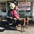 Kathy Williams's profile image