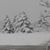 Judy Huff's profile image