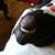 John McPheeters's profile image