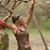 Theresa Mylin Taylor's profile image