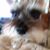 Pam Emmert's profile image