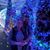 Alicia Overbey's profile image