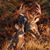 Joey Waltman's profile image