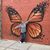 Lauren Zarada Matthes's profile image