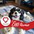 Kimberly Zaleski's profile image