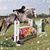 Lisa Gourley's profile image