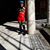 Diego Tiburon Carratu''s profile image