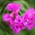 Judith Harkabus Smith's profile image