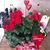 Deborah Gaudino's profile image