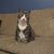 Byron Danielson's profile image