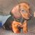 DeeDee Bryant's profile image
