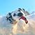 Donna Michaelson's profile image