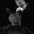 Louis Holveck-Young's profile image
