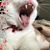 Brenda Sue's profile image
