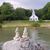 Kathy Belden's profile image