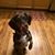 Bradley Mcvay's profile image