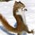Hank Hamilton's profile image