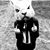 Mike Reade's profile image