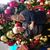 Dawn Marie Whitehead's profile image