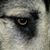 Susan Connell Faktor's profile image
