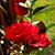 Brenda Wilkerson's profile image