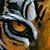 Warren McNeill's profile image
