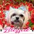 Cheryl Fenton's profile image