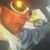 Steven Sartor's profile image