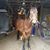 Jenn N Sam Hill's profile image