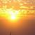 Shakeh Haroutiounian's profile image