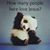 Cindy Rader's profile image