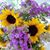 Kathy Keith-Proffitt's profile image