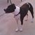 Patti Patrick's profile image
