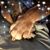 Marcia Gordon Caruso's profile image