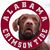 Jason Sims's profile image