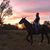 Laci Barwick's profile image