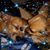 Ann Cushman's profile image