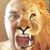 Raymon Perez's profile image