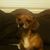 Brian K Herrin's profile image
