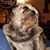 Audrey Kelsch's profile image