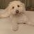 Nicole Fuizzotti Reece's profile image