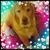 Sandy Bromell Stein's profile image