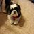 Lynda Burdsall Warren's profile image