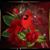Cathy Rock's profile image