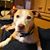 Chanda Doetsch's profile image