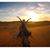 Erica Whetston's profile image