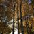 Kelly Widner's profile image