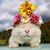 Eileen Tucker's profile image