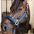 Vickie Robinson Williams's profile image