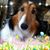 Sharon Cahoon-Winter's profile image